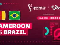 Link Nonton Kamerun vs Brazil Live 02.00 WIB