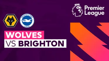 Wolves vs Brighton Live